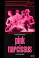 Pink Narcissus Poster