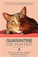 Quarantine Cat Film Festival Poster