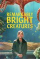 Remarkably Bright Creatures (Netflix) Movie Poster