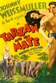 Tarzan and His Mate Poster