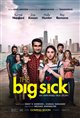 The Big Sick Movie Poster