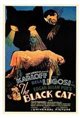 The Black Cat Poster