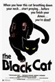 The Black Cat (1981) Poster