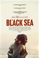 The Black Sea Poster