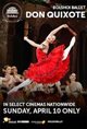 The Bolshoi Ballet: Don Quixote Poster