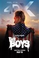 The Boys Series Finale Poster