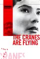 The Cranes Are Flying Movie Poster