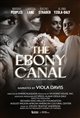 The Ebony Canal: A Story of Black Infant Mortality Poster