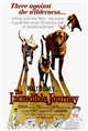 The Incredible Journey Poster