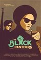 Toronto Black Film Festival Presents: The Black Panthers: Vanguard of the Revolution poster