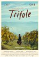 Trifole Poster