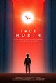 True North Movie Poster