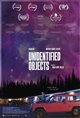 Unidentified Objects Poster