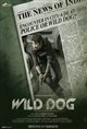 Wild Dog Poster