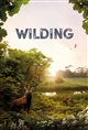 Wilding Poster