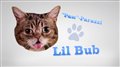 Nine Lives featurette "Celebrity Cats" Video Thumbnail