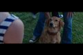 A Dog's Purpose Movie Clip - "Bailey Notices Smell" Video Thumbnail