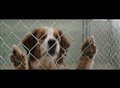 A Dog's Purpose Movie Clip - "Ethan Finds Bailey At Pound" Video Thumbnail