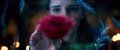 Beauty and the Beast - Official Teaser Trailer Video Thumbnail
