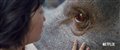 Okja - Official Teaser Trailer Video Thumbnail