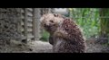 Peter Rabbit Movie Clip - "Look Away" Video Thumbnail