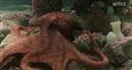 REMARKABLY BRIGHT CREATURES Teaser Trailer Video Thumbnail