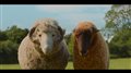 THE SHEEP DETECTIVES Clip - "Crossing Road" Video Thumbnail