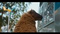 THE SHEEP DETECTIVES Clip - "I See Everything" Video Thumbnail