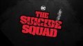 THE SUICIDE SQUAD - Roll Call Video Thumbnail