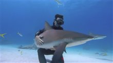 A Tribute to Rob Stewart by Pablo Garcia Video