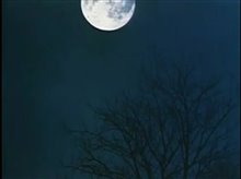 An American Werewolf in London Trailer Video
