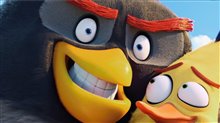 Angry Birds Digital Release Video