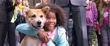 Annie Trailer Video