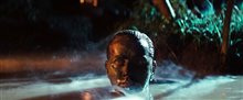 'Apocalypse Now Final Cut' Trailer Video