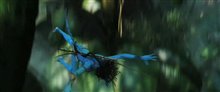 Avatar: Special Edition Trailer Video
