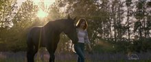 BLACK BEAUTY Trailer Video