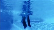 Blackfish Trailer Video