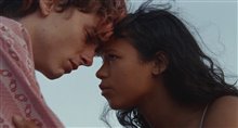 BONES AND ALL Trailer Video