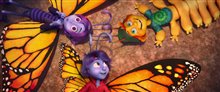 BUTTERFLY TALE Trailer Video