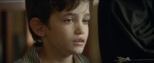 'Capernaum' Trailer Video