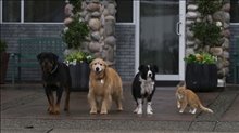 CATS & DOGS 3: PAWS UNITE! Trailer Video