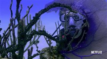 CHASING CORAL Trailer Video