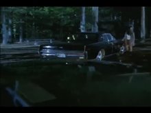 CHERRY FALLS Trailer Video
