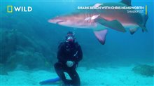 Chris Hemsworth Swims With Sharks Video