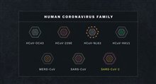 CORONAVIRUS, EXPLAINED Trailer Video