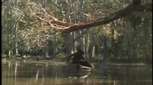 CROCODILE DUNDEE IN L.A. Trailer Video