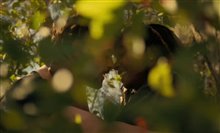 DANDELION Trailer Video