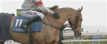 Dark Horse - Official Trailer Video