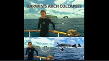 Darwin's Arch Collapses Video