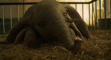 'Dumbo' Movie Clip - 